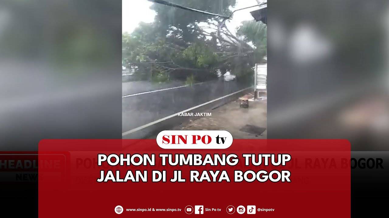 Pohon Tumbang Tutup Jalan Di Jl Raya Bogor