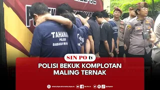 Polisi Bekuk Komplotan Maling Ternak