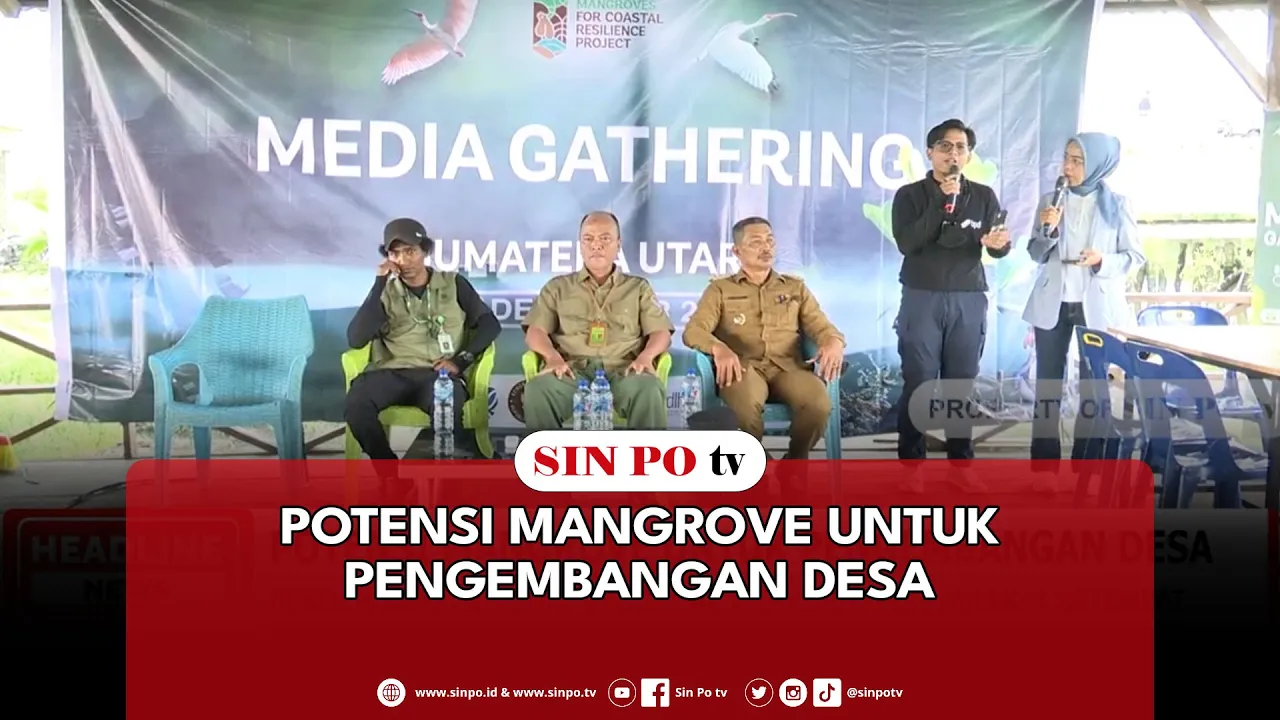 Potensi Mangrove Untuk Pengembangan Desa