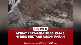 Akibat Pertambangan Emas, 41 Ribu Hektare Rusak Parah
