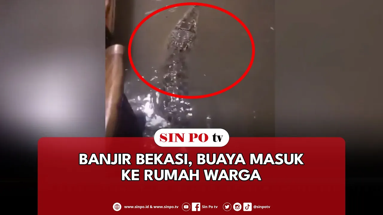 Banjir Bekasi, Buaya Masuk Ke Rumah Warga