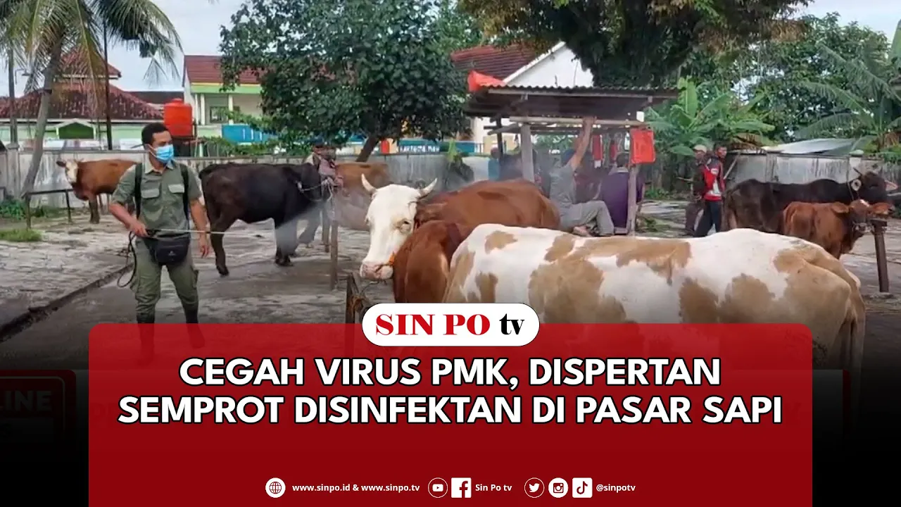 Cegah Virus PMK, Dispertan Semprot Disinfektan Di Pasar Sapi