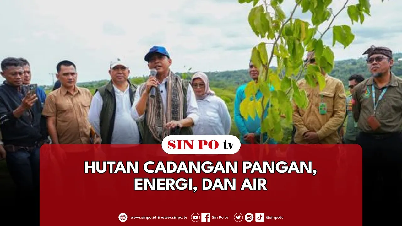Hutan Cadangan Pangan, Energi, Dan Air