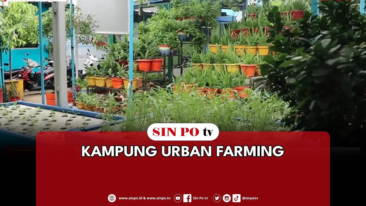 Kampung Urban Farming