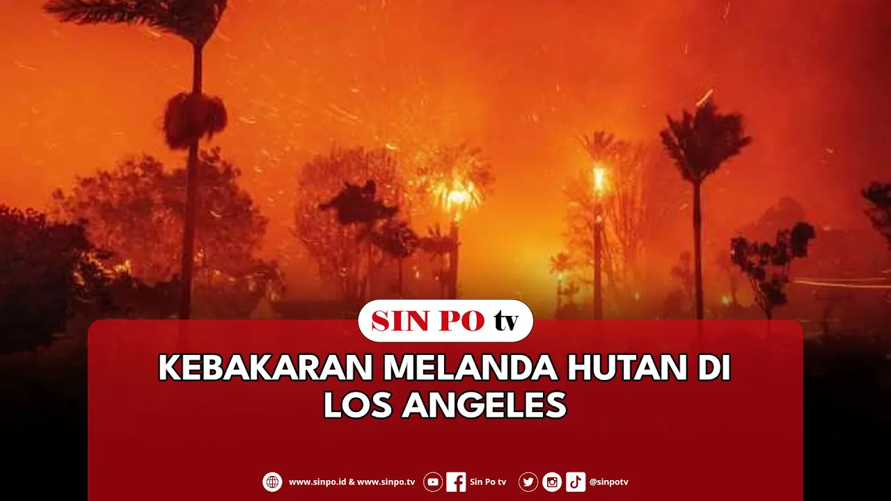 Kebakaran Melanda Hutan Di Los Angeles