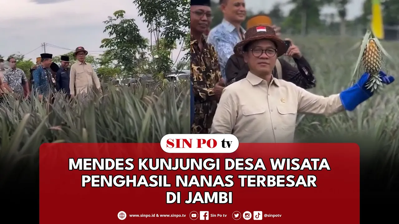 Mendes Kunjungi Desa Wisata Penghasil Nanas Terbesar Di Jambi