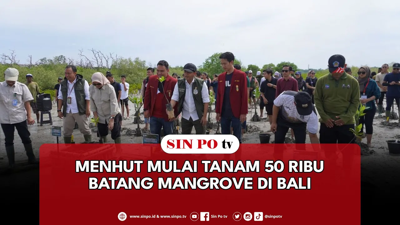 Menhut Mulai Tanam 50 Ribu Batang Mangrove Di Bali
