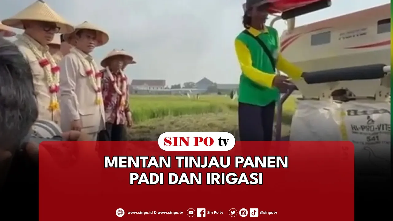 Mentan Tinjau Panen Padi Dan Irigasi