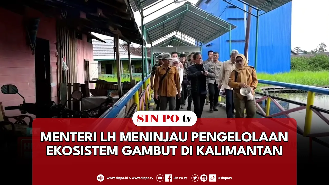 Menteri LH Meninjau Pengelolaan Ekosistem Gambut Di Kalimantan
