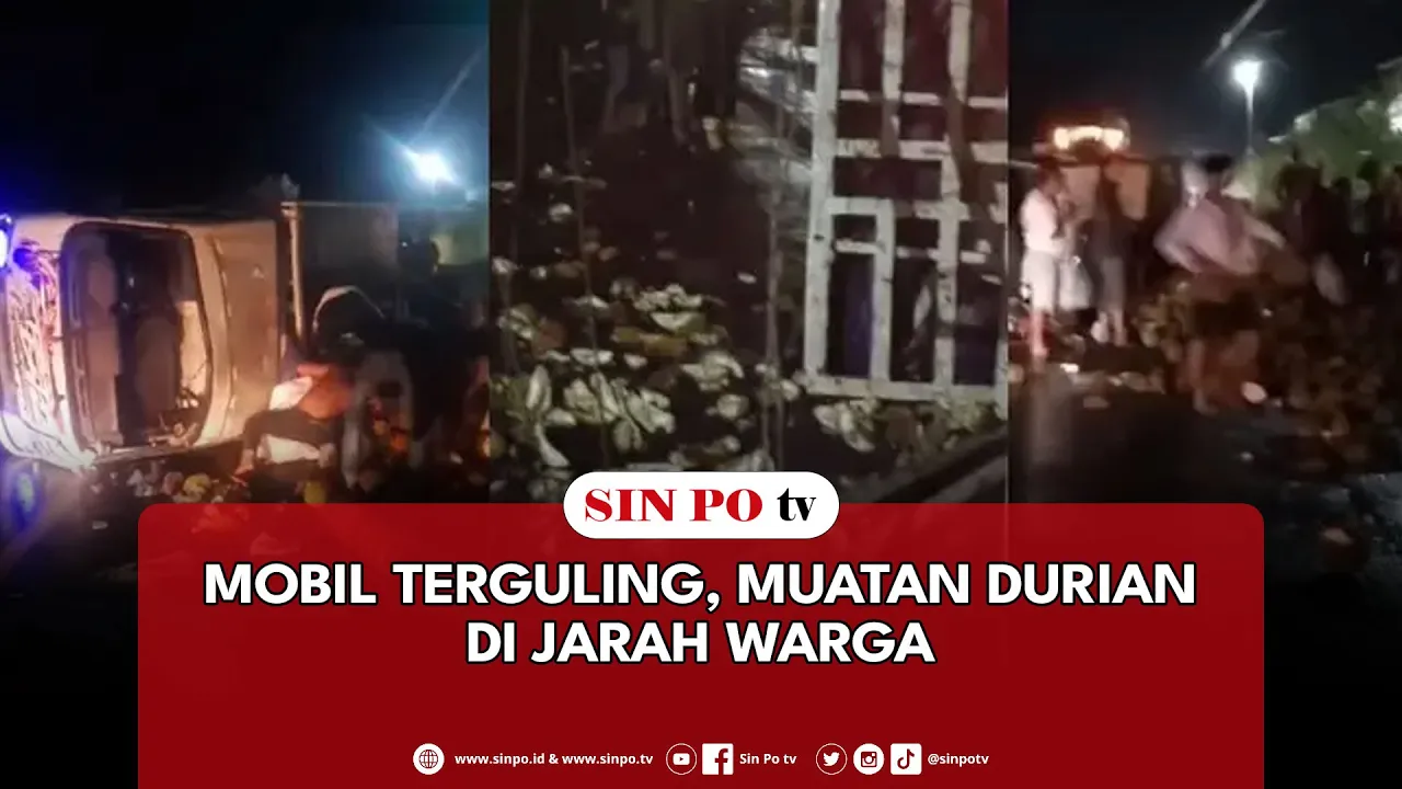Mobil Terguling, Muatan Durian Di Jarah Warga
