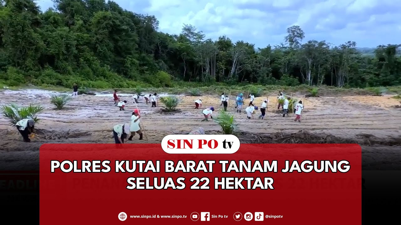 Polres Kutai Barat Tanam Jagung Seluas 22 Hektar