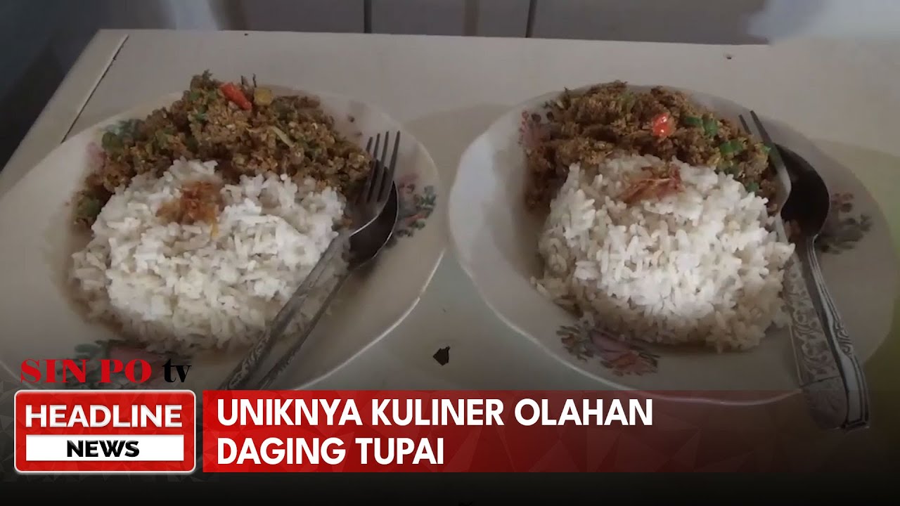 Bakso Dan Olahan Daging Cincang Tupai, Kuliner Langka Yang Dipercaya Mengobati Beragam Penyakit