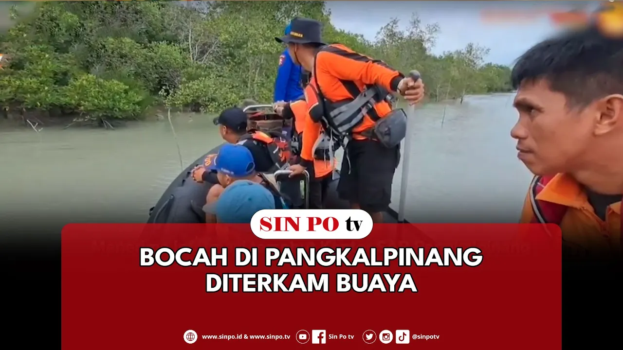 Bocah Di Pangkalpinang Diterkam Buaya