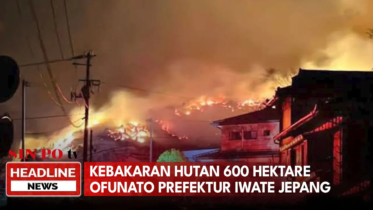 Kebakaran Hutan 600 Hektare Ofunato Prefektur Iwate Jepang