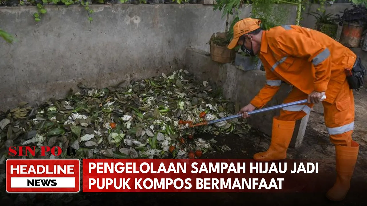 Pengelolaan Sampah Hijau Jadi Pupuk Kompos Bermanfaat