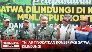 TNI AD Tingkatkan Konservasi Satwa Dilindungi