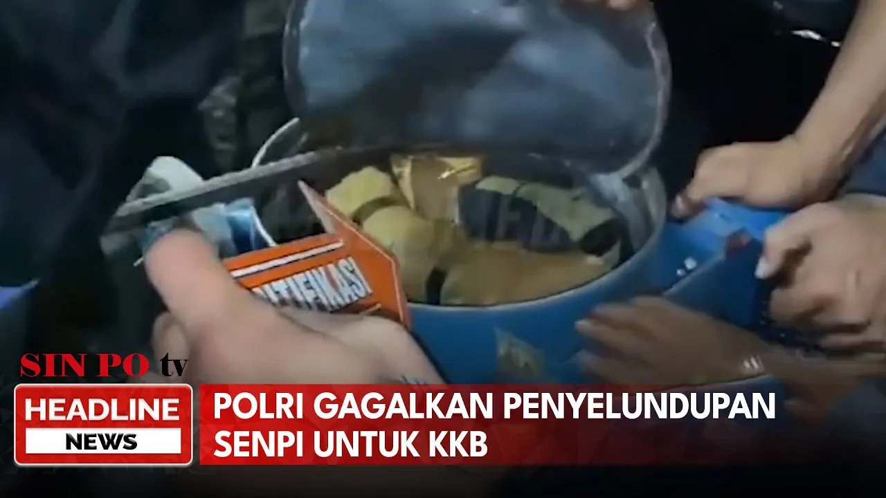 Polri Gagalkan Penyelundupan Senpi untuk KKB