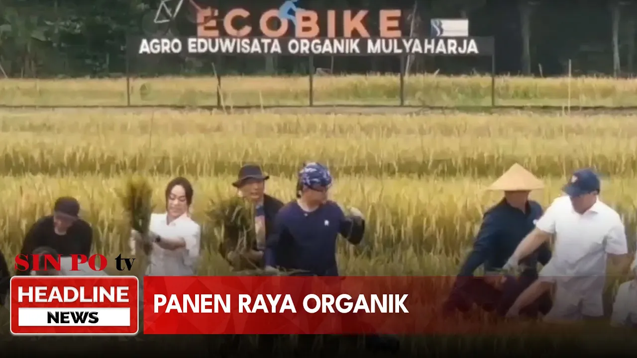 Panen Raya Organik