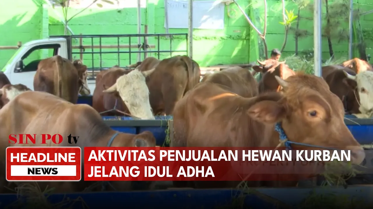 Aktivitas Penjualan Hewan Kurban Jelang Idul Adha