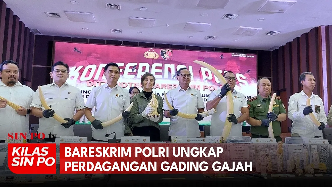 Bareskrim Polri Ungkap Perdagangan Gading Gajah