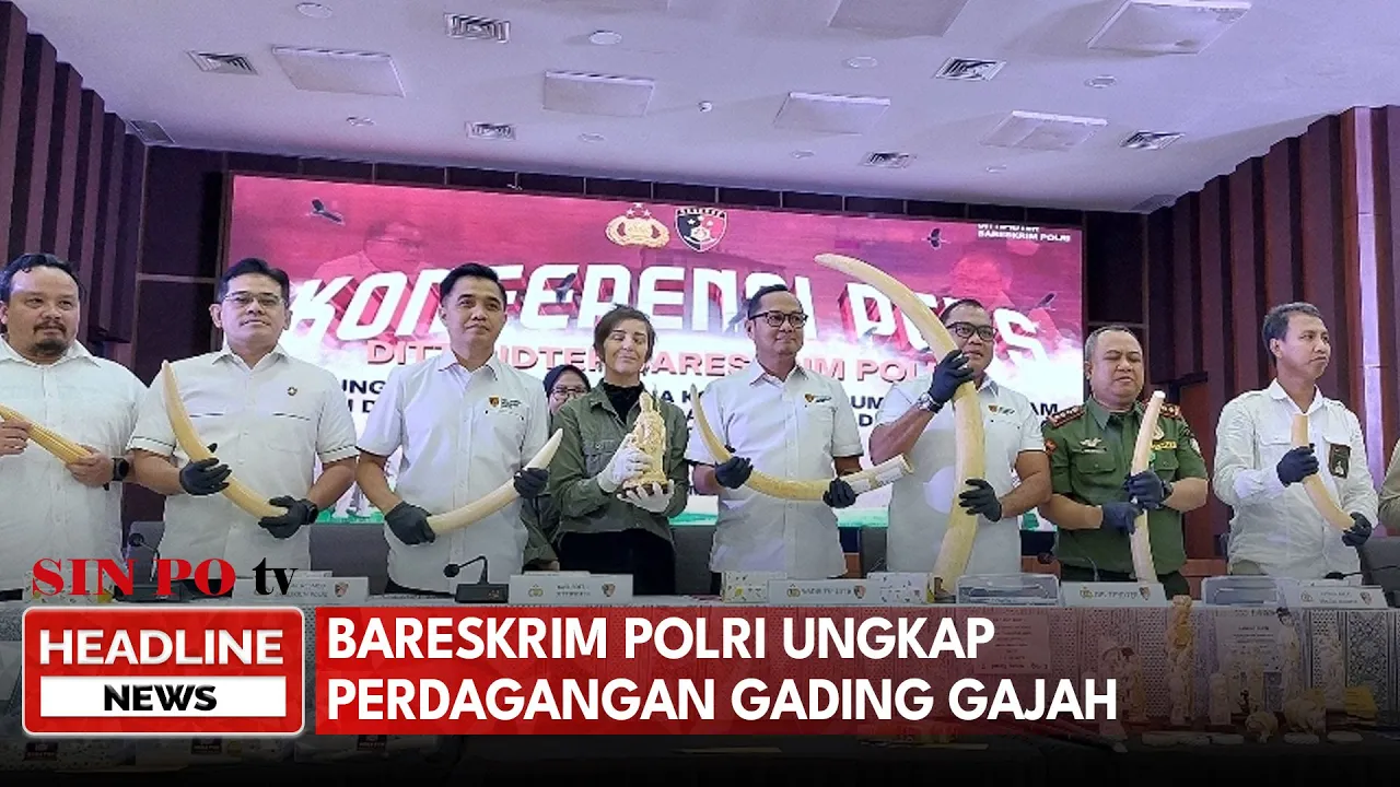 Bareskrim Polri Ungkap Perdagangan Gading Gajah