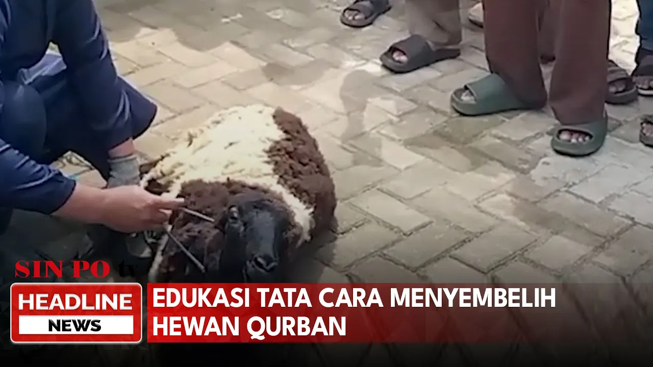 Edukasi Tata Cara Menyembelih Hewan Qurban