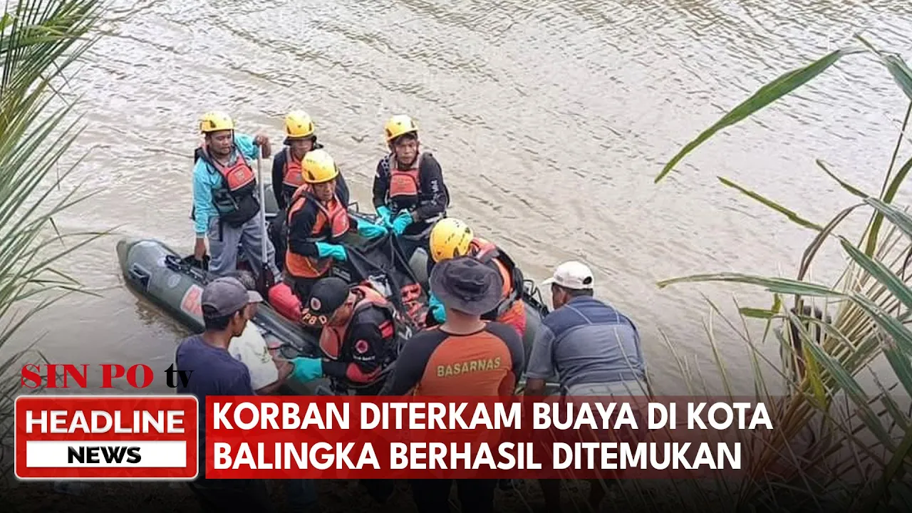Korban Diterkam Buaya Di Kota Balingka Berhasil Ditemukan