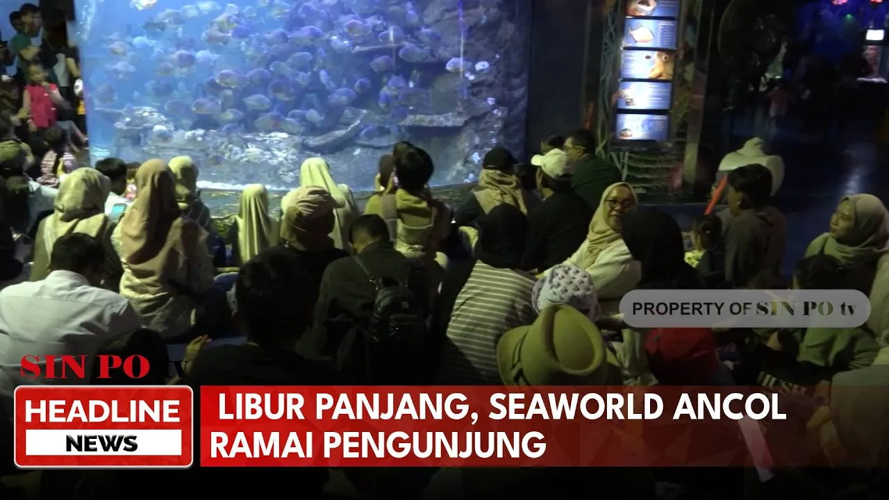 Libur Panjang, Seaworld Ancol Ramai Pengunjung