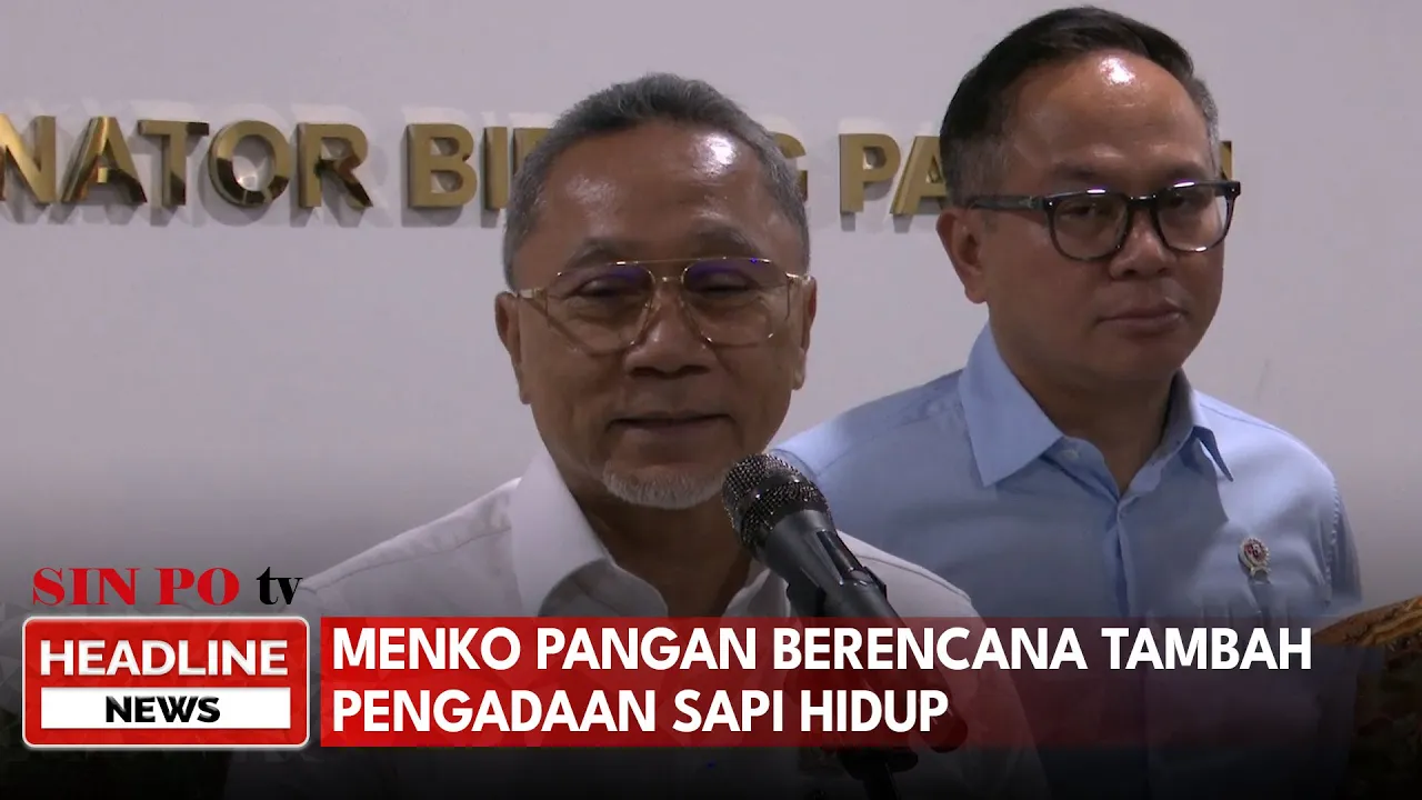 Menko Pangan Berencana Tambah Pengadaan Sapi Hidup