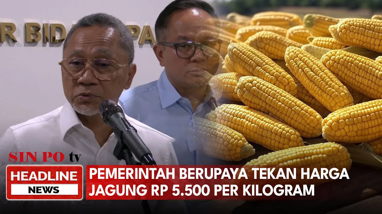 Pemerintah Berupaya Tekan Harga Jagung Rp5.500 per Kilogram