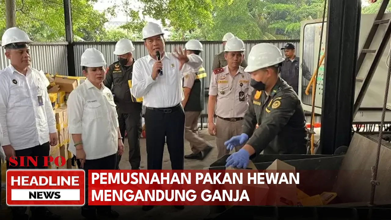 Pemusnahan Pakan Hewan Mengandung Ganja