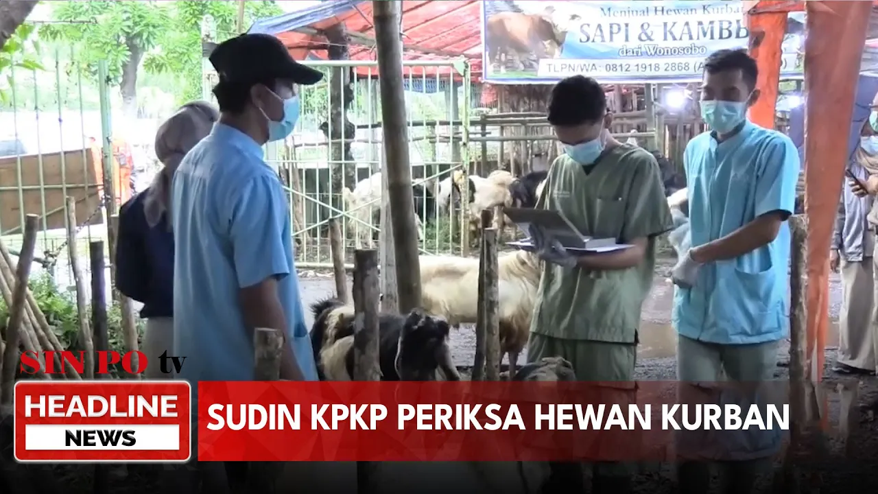 Sudin KPKP Periksa Hewan Kurban
