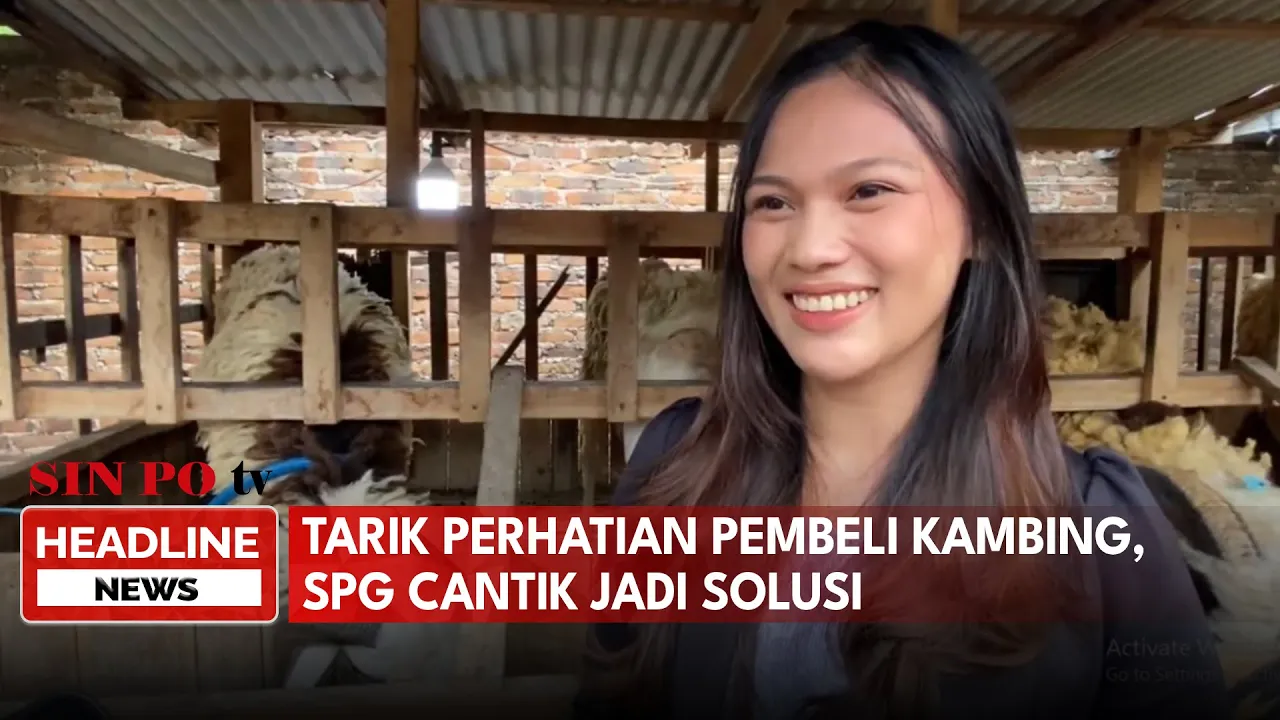 Tarik Perhatian Pembeli Kambing, SPG Cantik Jadi Solusi