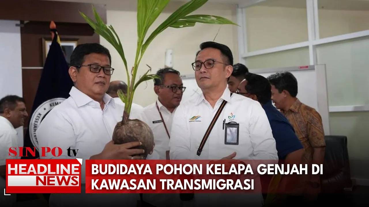Budidaya Pohon Kelapa Genjah di Kawasan Transmigrasi