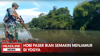 Hobi Paser Ikan Semakin Menjamur di Yogya