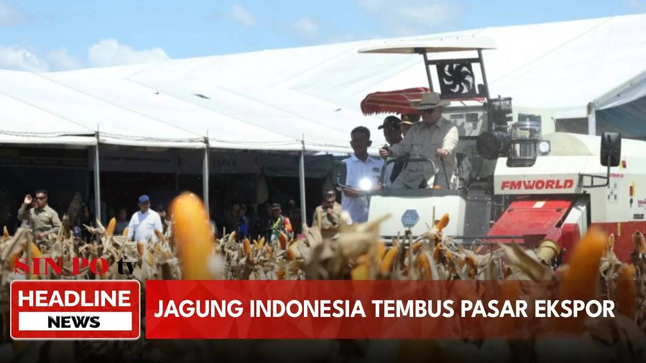 Jagung Indonesia Tembus Pasar Ekspor
