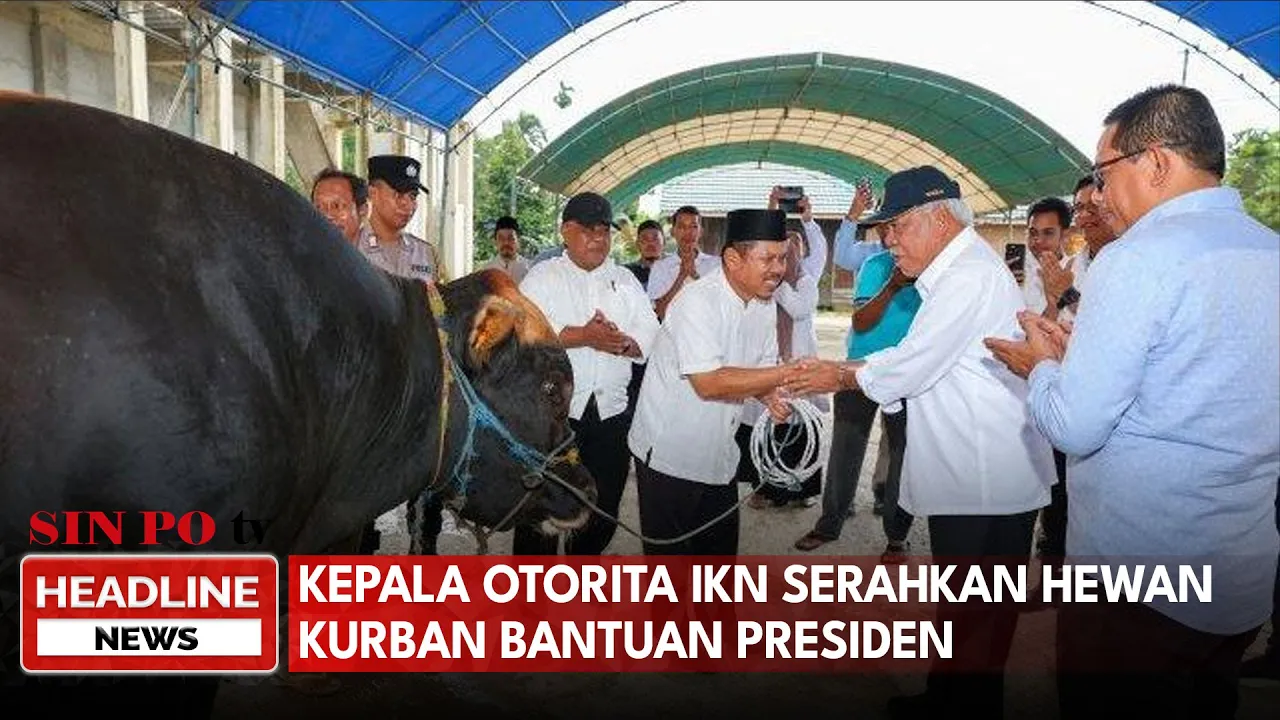 Kepala Otorita IKN Serahkan Hewan Kurban Bantuan Presiden