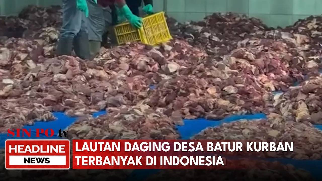 Lautan Daging Desa Batur Kurban Terbanyak di Indonesia