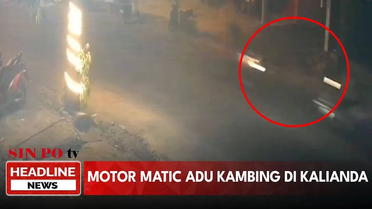 Motor Matic Adu Kambing Di Kalianda