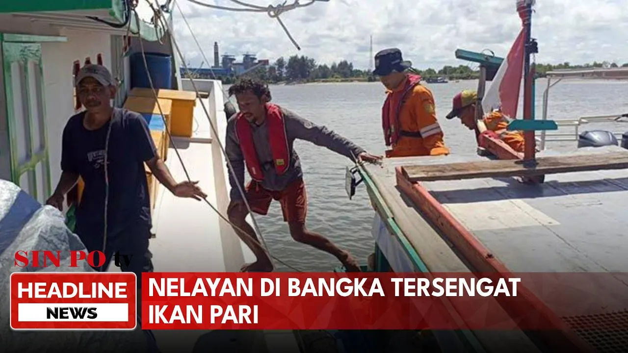 Nelayan di Bangka Tersengat Ikan Pari