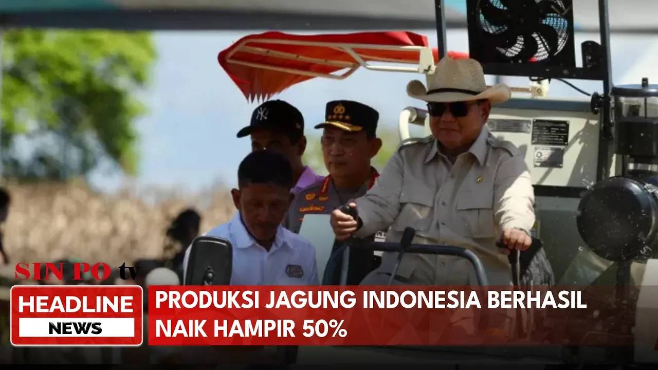 Produksi Jagung Indonesia Berhasil Naik Hampir 50%