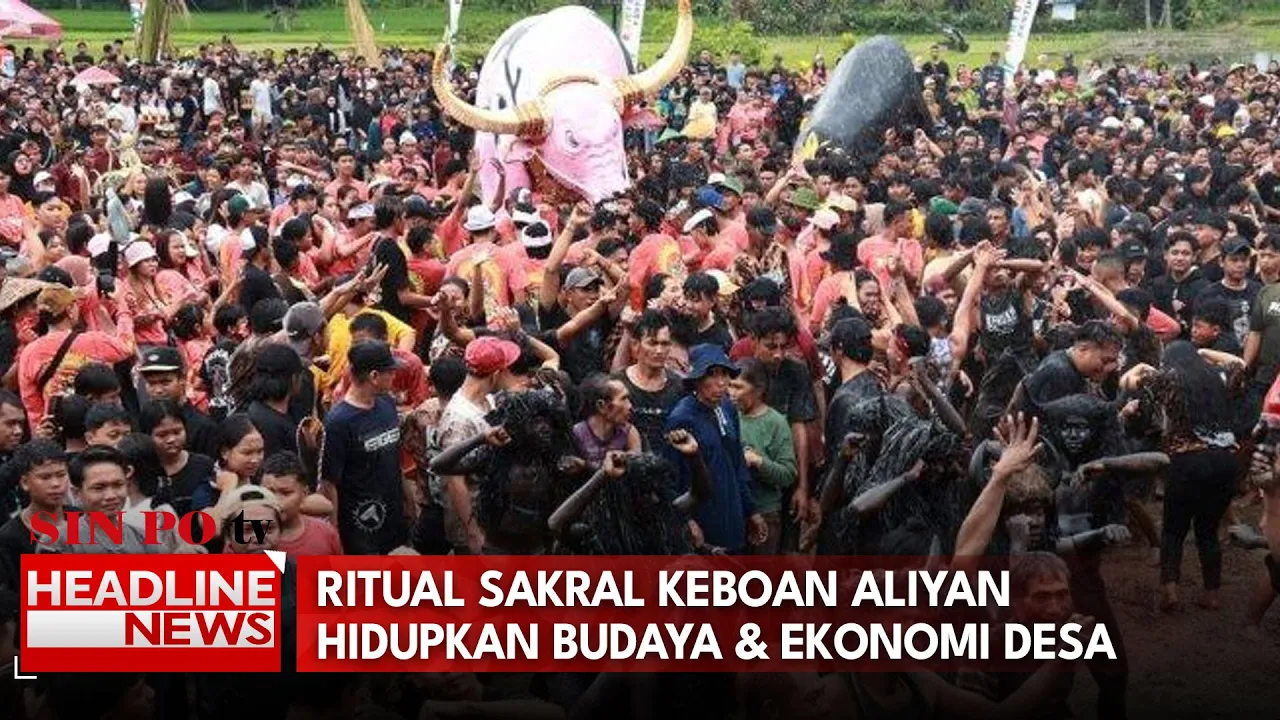 Ritual Sakral Keboan Aliyan Hidupkan Budaya & Ekonomi Desa