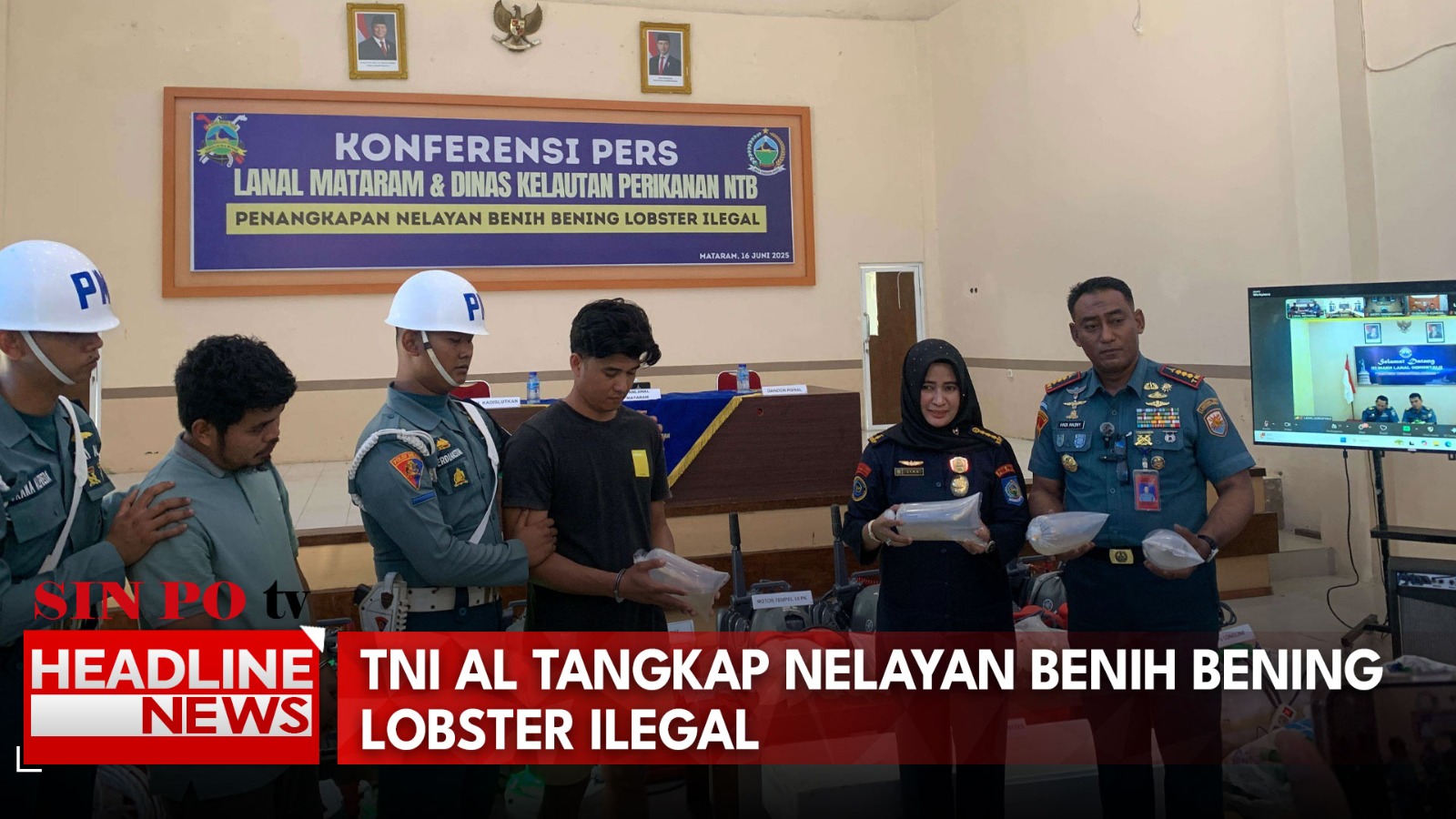 TNI AL Tangkap Nelayan Benih Bening Lobster Ilegal