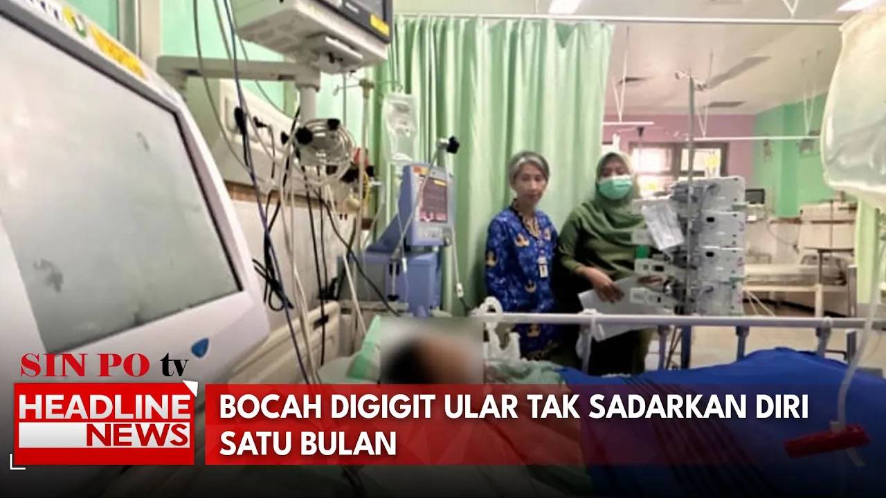 Bocah Digigit Ular Tak Sadarkan Diri Satu Bulan