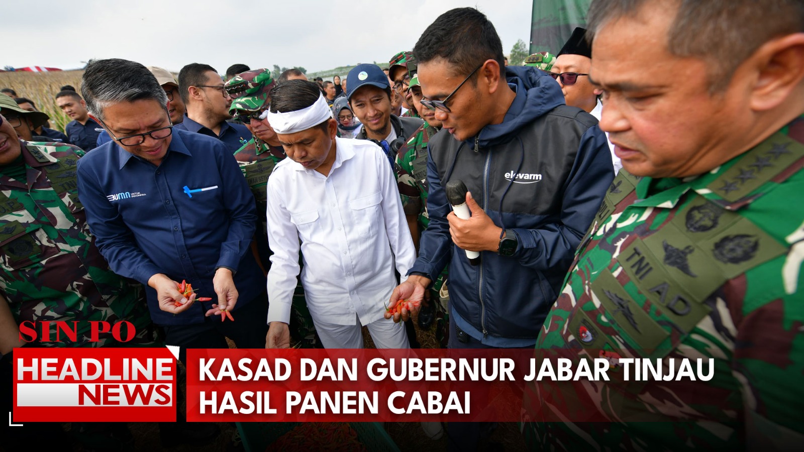 Kasad dan Gubernur Jabar Tinjau Hasil Panen Cabai