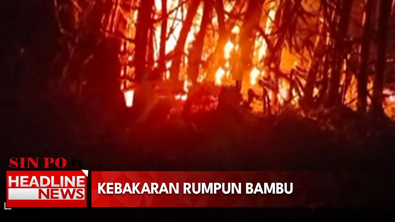Kebakaran Rumpun Bambu