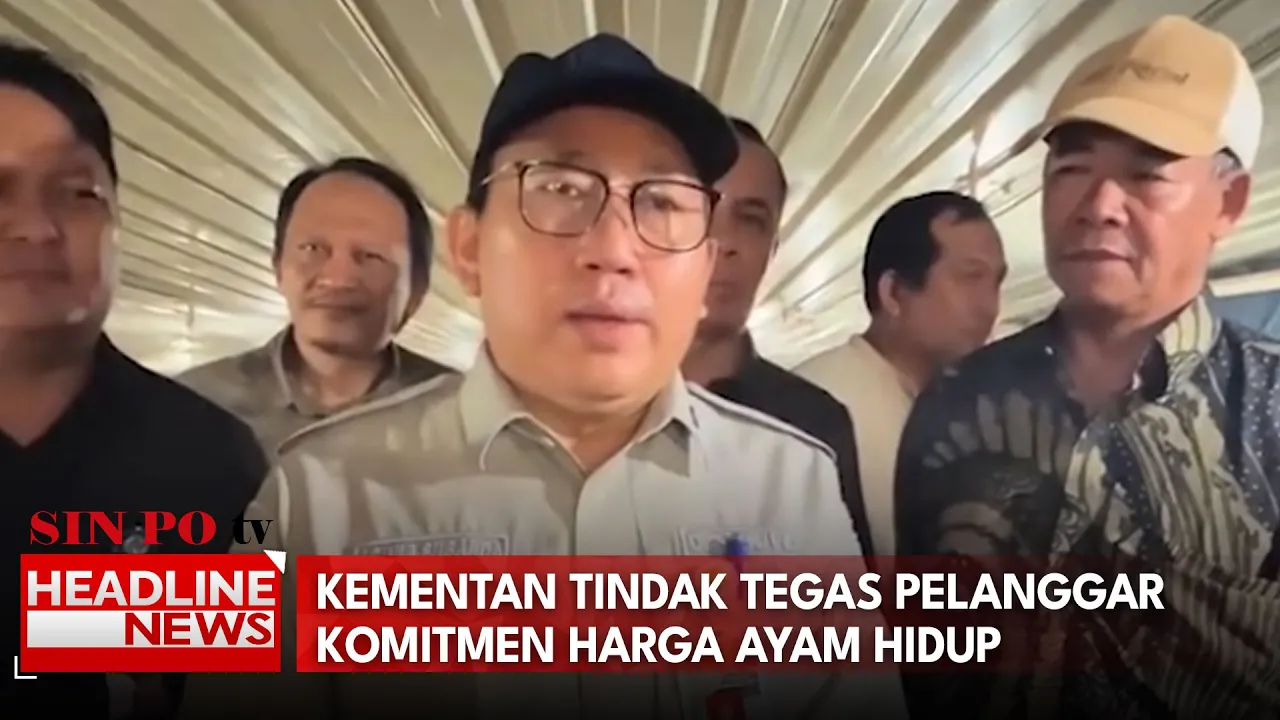 Kementan Tindak Tegas Pelanggar Komitmen Harga Ayam Hidup