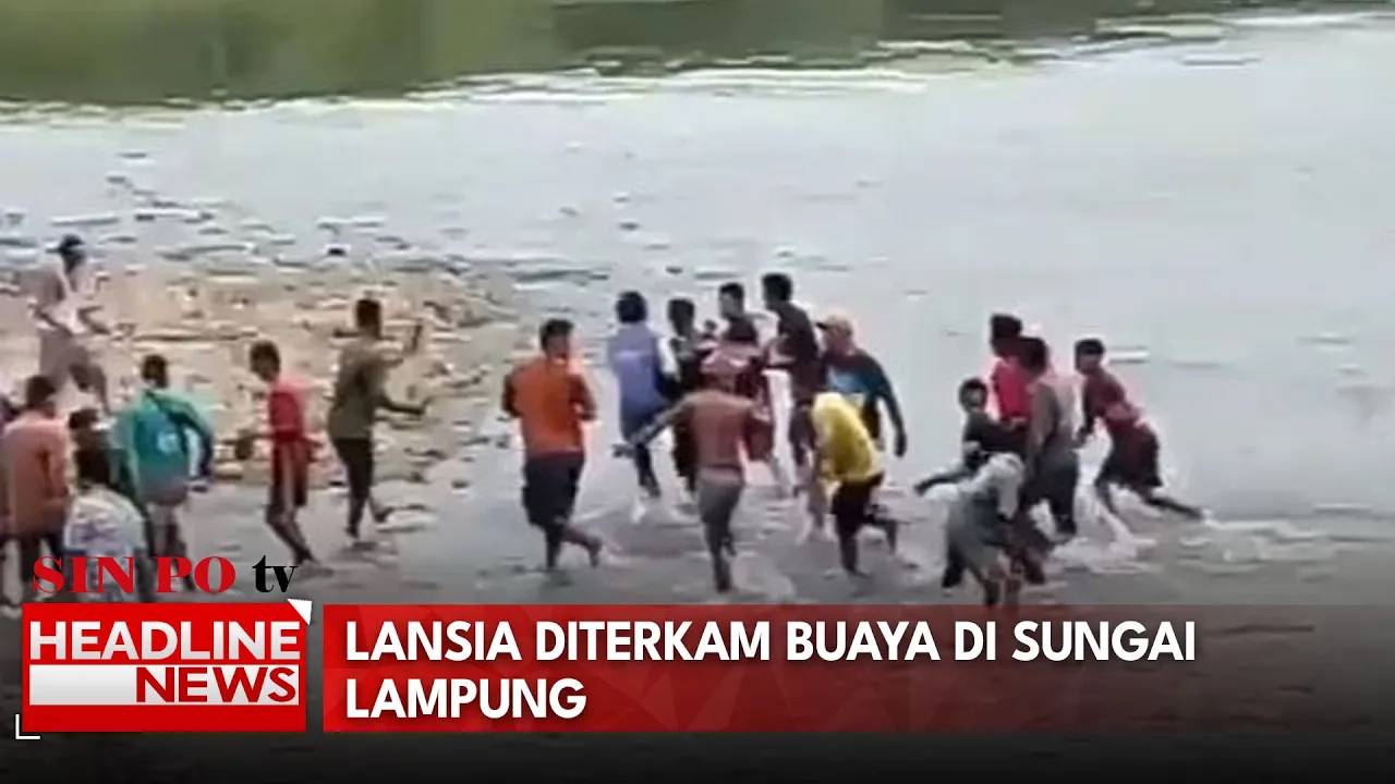 Lansia Diterkam Buaya Di Sungai Lampung