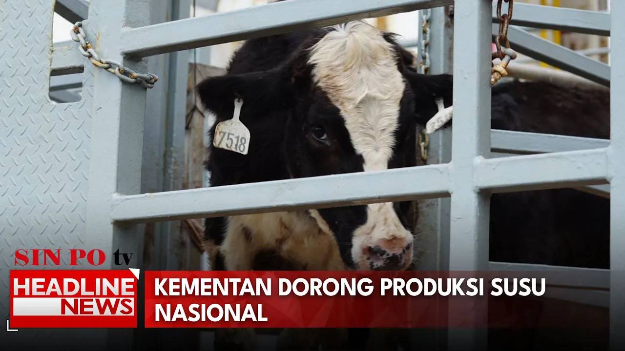 Penemuan Mayat di Bawah Jembatan Kota Baru