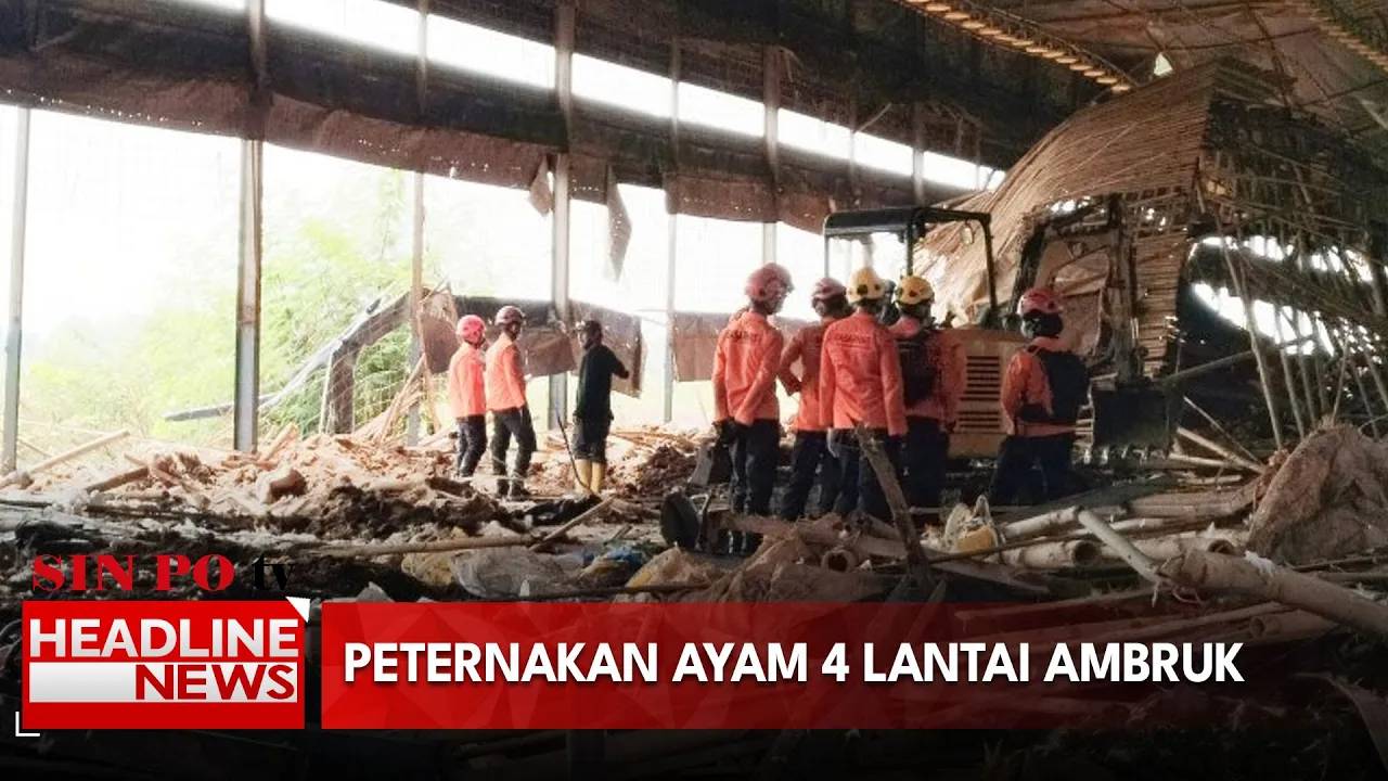 Peternakan Ayam 4 Lantai Ambruk